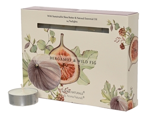 Pack Of 24 Scented - Bergamot & Wild Fig