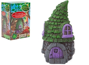 Fairy Garden Conifer Casa