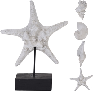 4asst Shell And Starfish On Wood Base