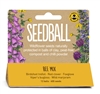 Bee Mix - Seedballs Hanging Pack (12 Balls, 600 Seeds)