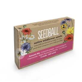 Seedballs Large Matchbox (12 Balls, 600 Seeds) - Annuals Mix