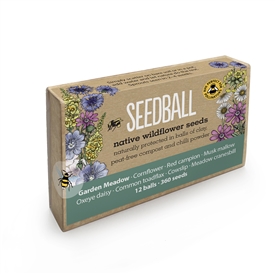 Seedballs Large Matchbox (12 Balls, 600 Seeds) - Garden Meadow