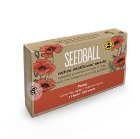 Seedballs Large Matchbox (12 Balls, 600 Seeds) - Mix