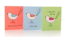 Pack Of 12 Bird Notecards