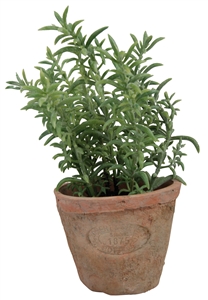 Artificial Thyme In Terracotta Pot