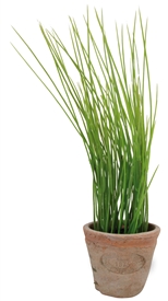 Artificial Chives In Terracotta Pot