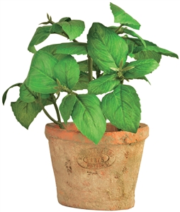 Artificial Basil In Terracotta Pot