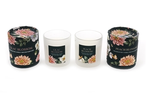 Botanical Candle Pot In Tube 2 Assorted 9cm