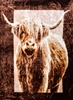 Mink Blanket - Highland Cow 200cm