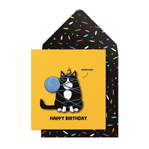 Birthday Cat Card 16cm