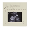 Grandparents Scan Frame