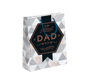 Fathers Day Gift Bag