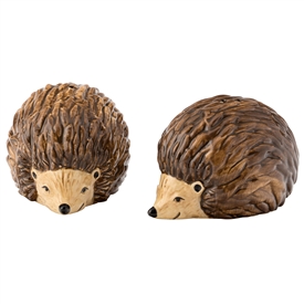 Hedgehog Cruet Set