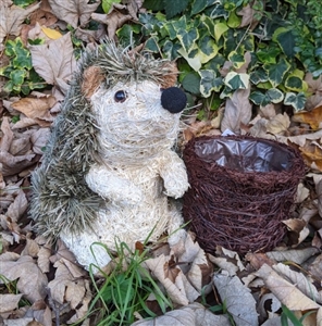 Cute Brown Brushwood Prickly Hedgehog Planter 24cm