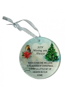 Remembrance Hanging Robin Disc - Son