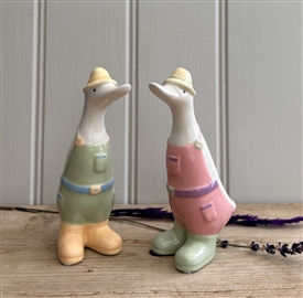 DUE MID JANUARY - 2asst Ceramic Ducks with Aprons 14cm
