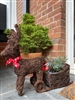 Brushwood Reindeer with Sleigh 52cm - Brown (INDOOR/OUTDOOR)