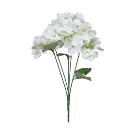 Essential Hydrangea Bush - White 49cm