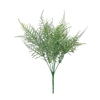 Essential Asparagus Fern 37cm