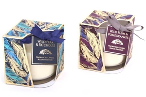 Triangular Open Gift Boxed Gold Feather Scented Wax Candle In Glass Pot 8cm 2 Assorted Designs