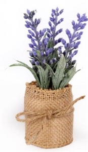 Lavender In Hessian