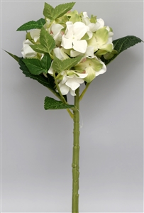 Single Hydrangea 16cm