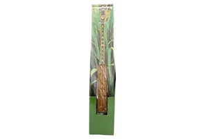 Pack Of 15 Citronella Outdoor Incense Sticks 44cm