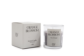 DUE JAN Boxed Candle - Orange Blossom 8cm