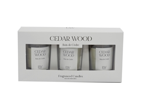DUE JAN Set Of 3 Votive Candles - Cedar Wood