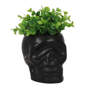 Black Skull Plant Pot 12cm