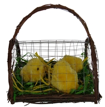 3 Yellow Chicks In A Cage