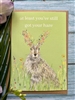 A6 Eco Card - Still Got Your Hare