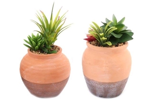 Kasbah Terracotta Pot With Artificial Succulent Plant 2 Assorted Designs 18cm