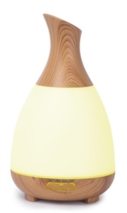 Vase Bottle  Electric Aroma Diffuser