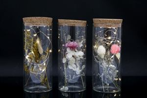 Led Bottle With Dried Flowers 3 Assorted 19cm