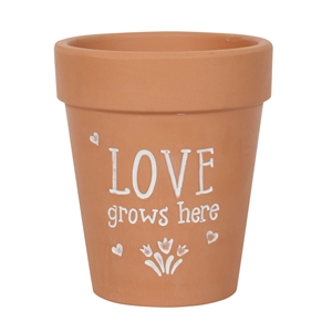 Love Grows Here Terracotta Plant Pot 17cm