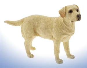 DUE MAY Golden Labrador 18cm