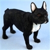 French Bulldog Black