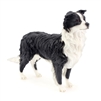 Border Collie 15.7cm