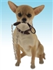 DUE MAY  Walkies Chihuahua Sitting 19cm