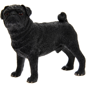 xBlack Pug