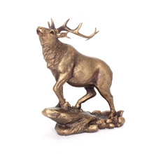 Reflections Bronzed Stag