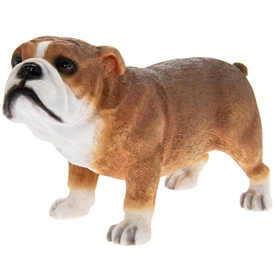 Standing Tan And White Bull Dog Ornament