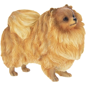 Pomeranian Dog Ornament 13cm