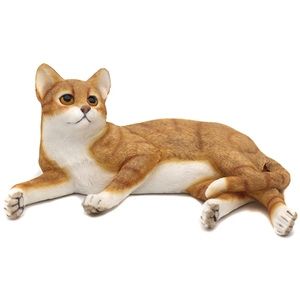 Laying Ginger And White Cat