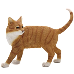 Standing Ginger And White Cat