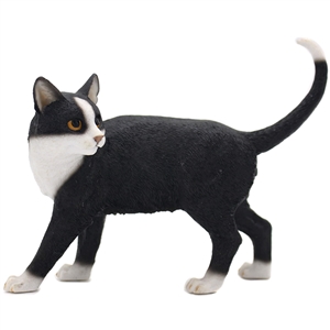 Standing Black And White Cat