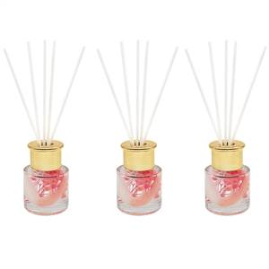DUE APRIL Pink Pampass Set Of 3 Diffusers 50ml