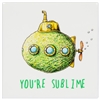 You're Sublime Coaster