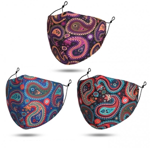 Paisley Reusable Face Mask With Filters 3 Assorted